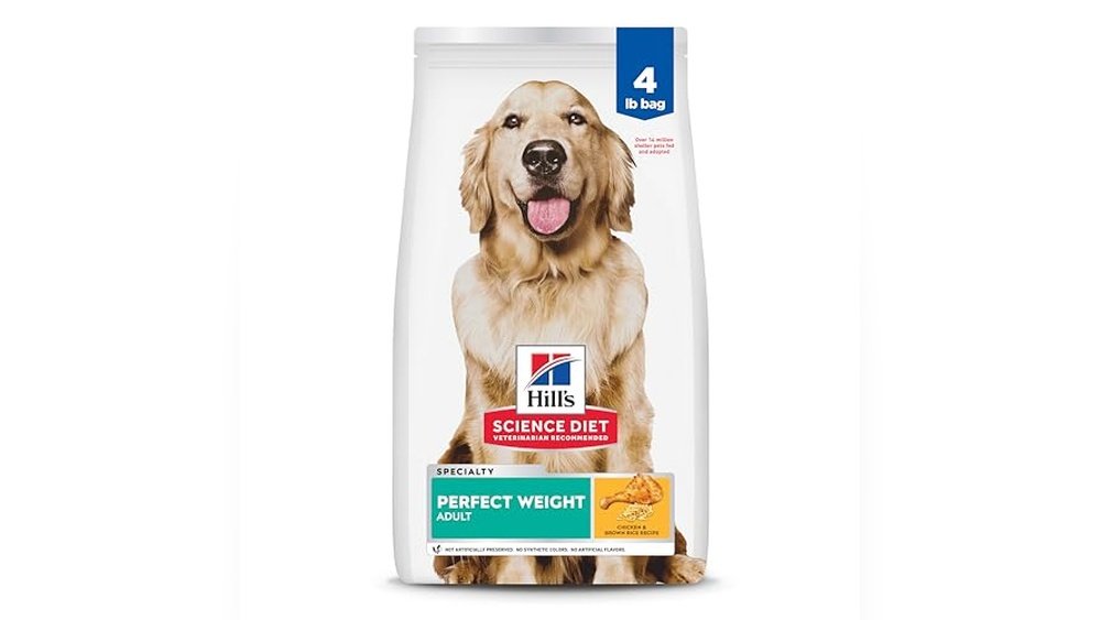 Best Dog Food for Less Poop
