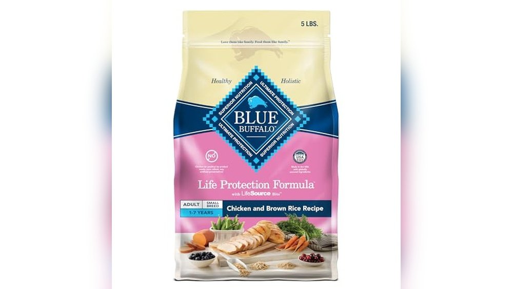 Best Dog Food for Mini Goldendoodles