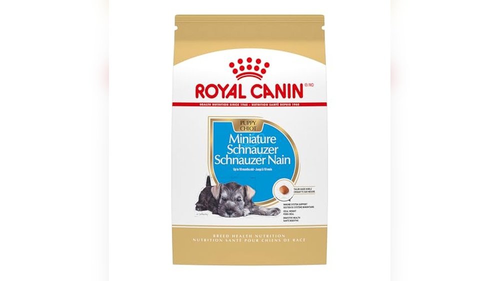 Best Dog Food for Mini Schnauzers