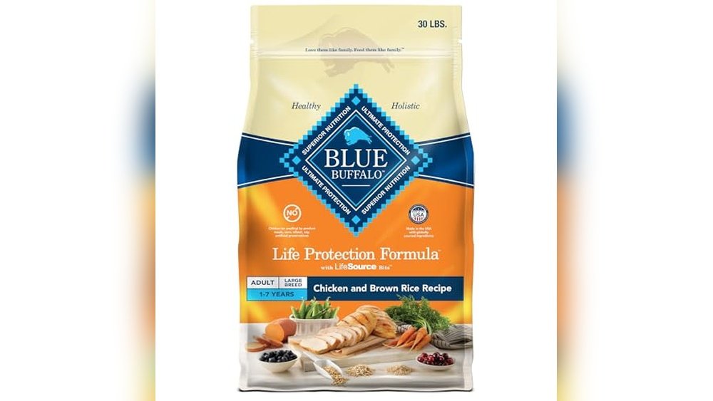 Best Dog Food for Pyrenees