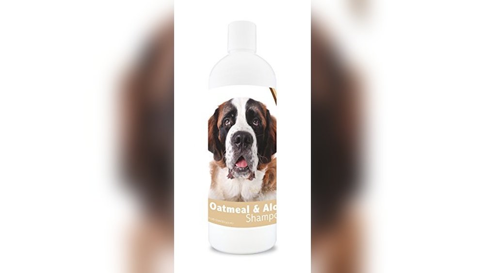Best Dog Food for Saint Bernard Puppy