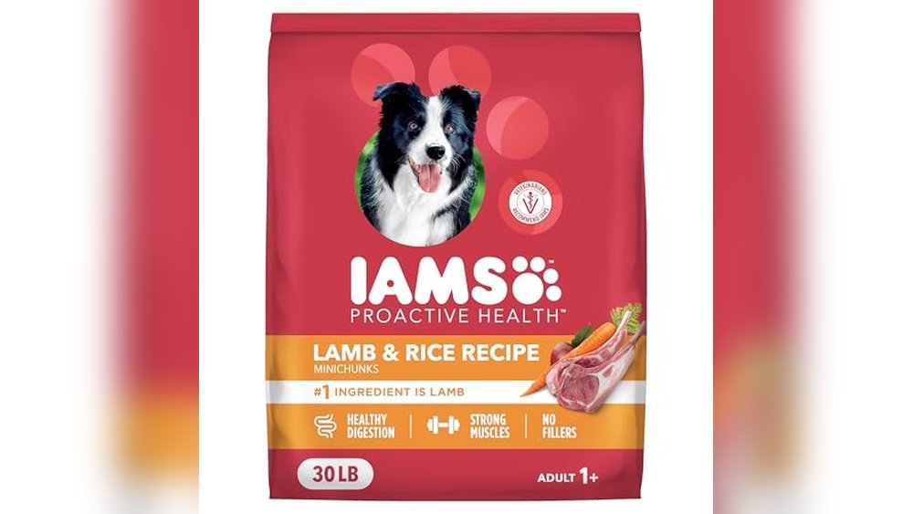 Best Dog Food for Sheepadoodle
