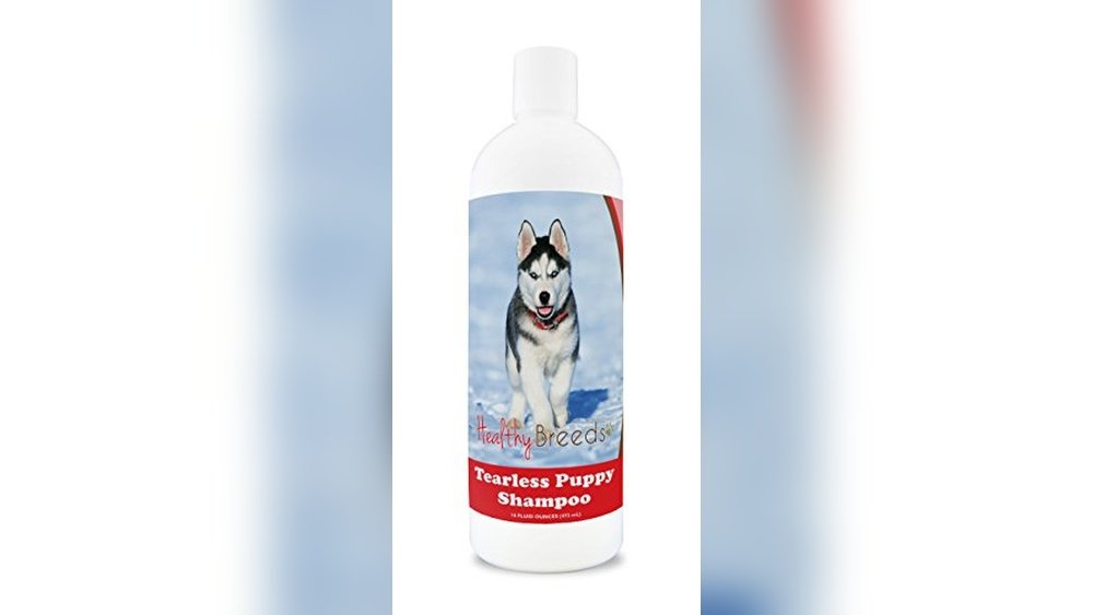 Best Dog Food for Siberian Husky Puppy