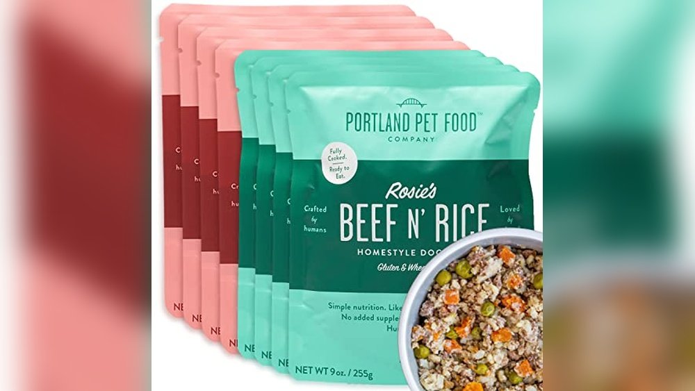 Best Dog Food for Springer Spaniels