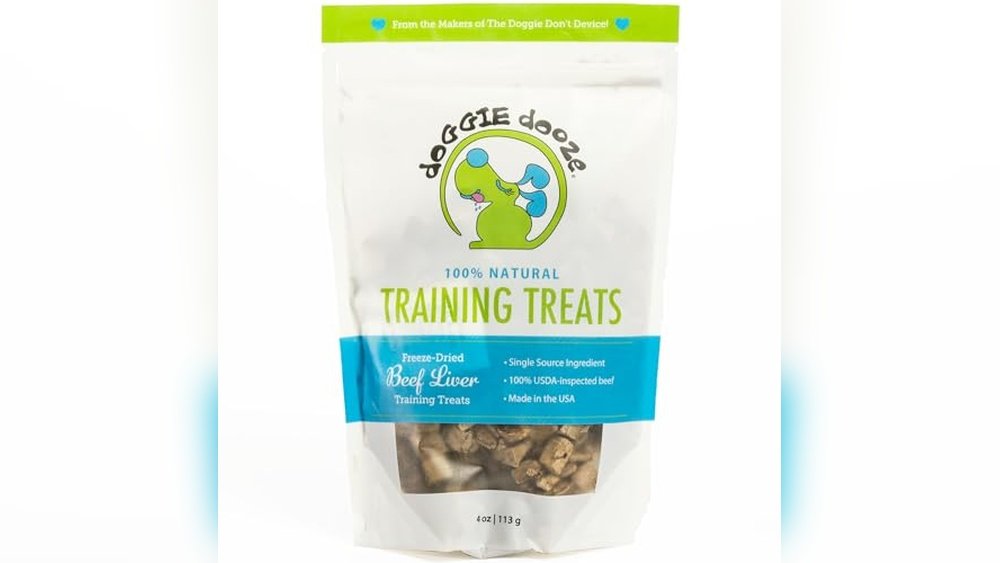 Best Dog for Single Female