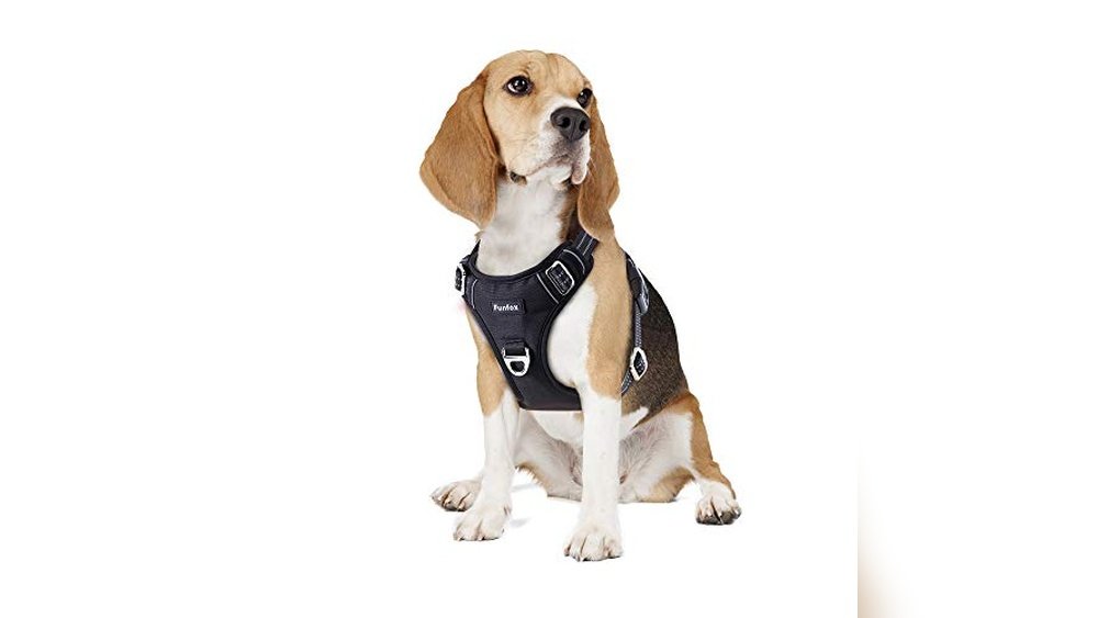 Best Dog Harness for Beagles