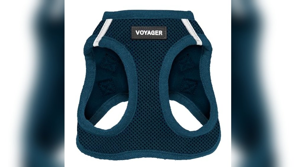 Best Dog Harness for Boston Terrier