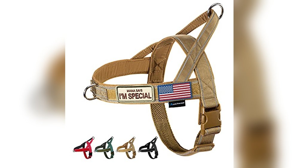 Best Dog Harness for Bulldogs