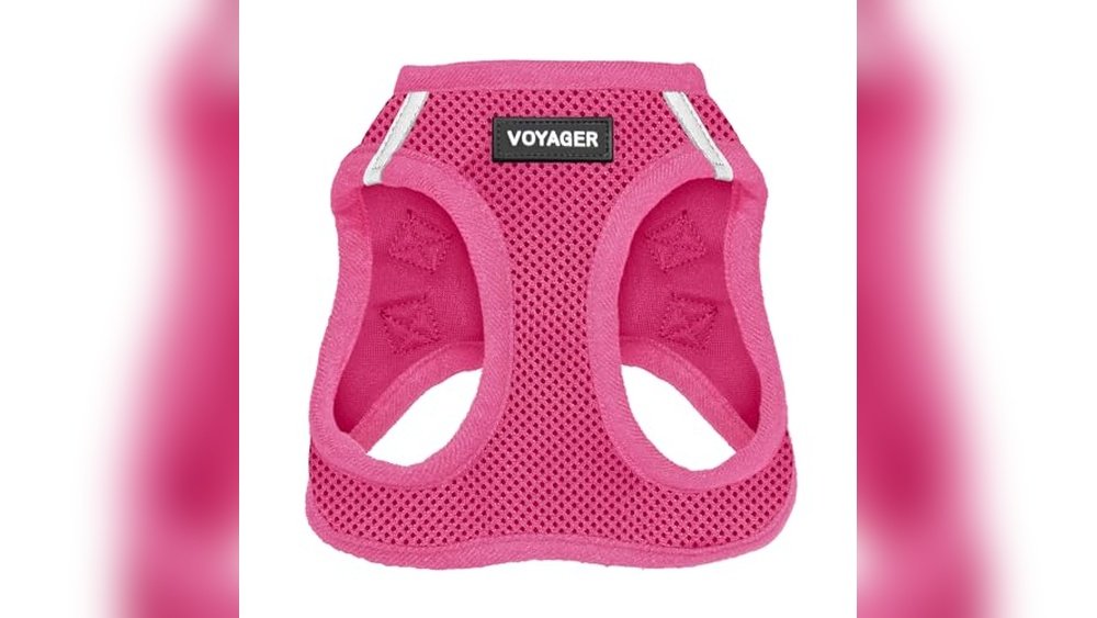 Best Dog Harness for Dachshunds