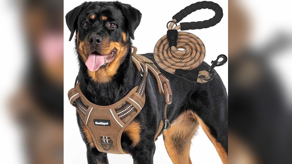 Best Dog Harness for German Shepherd