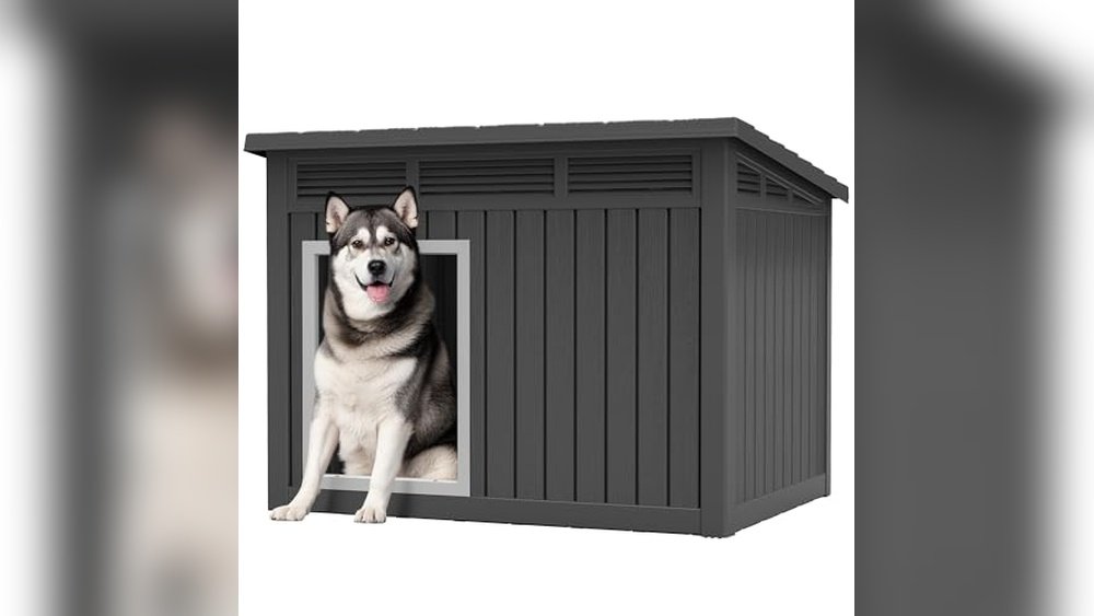 Best Dog House for Winter