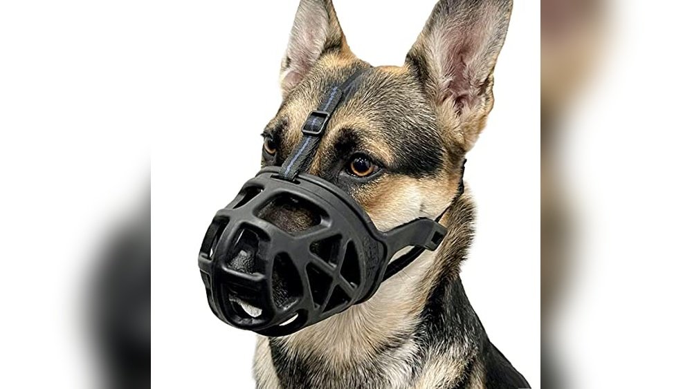Best Dog Muzzle for German Shepherd