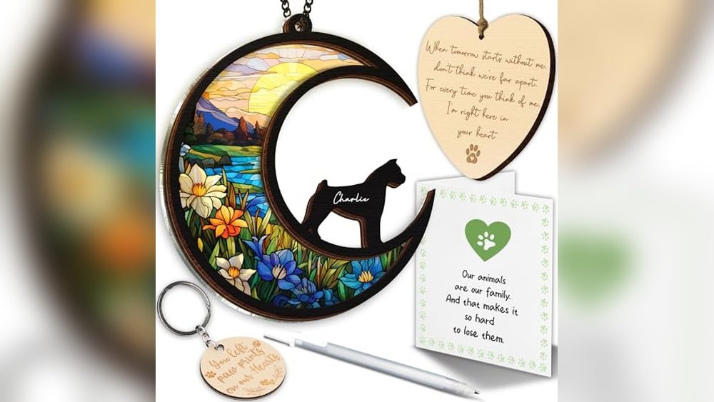 Best Dog Names for Boxers