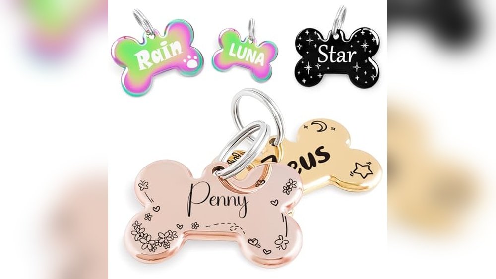 Best Dog Names for Chihuahua