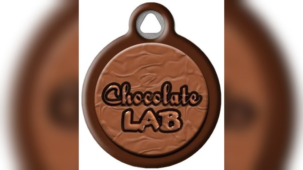 Best Dog Names for Chocolate Labs