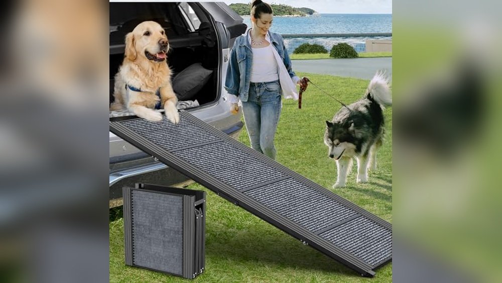 Best Dog Ramp for Truck Side Door