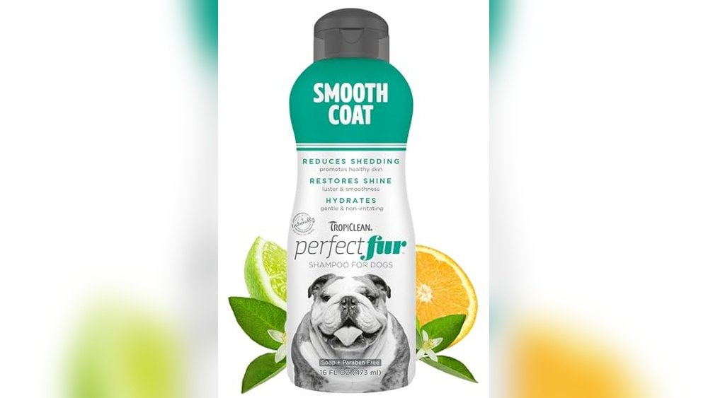 Best Dog Shampoo for Bulldogs