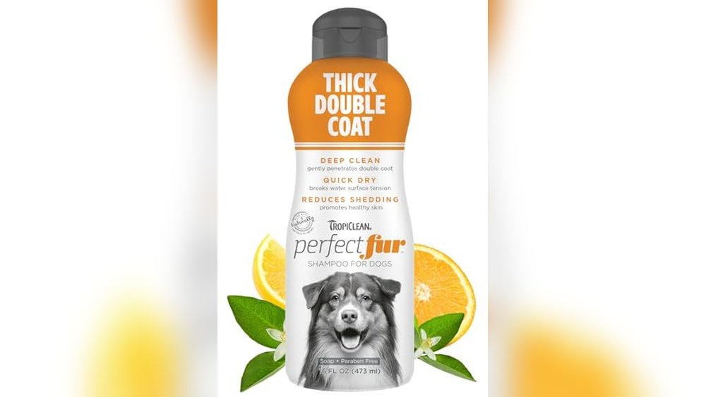 Best Dog Shampoo for Huskies