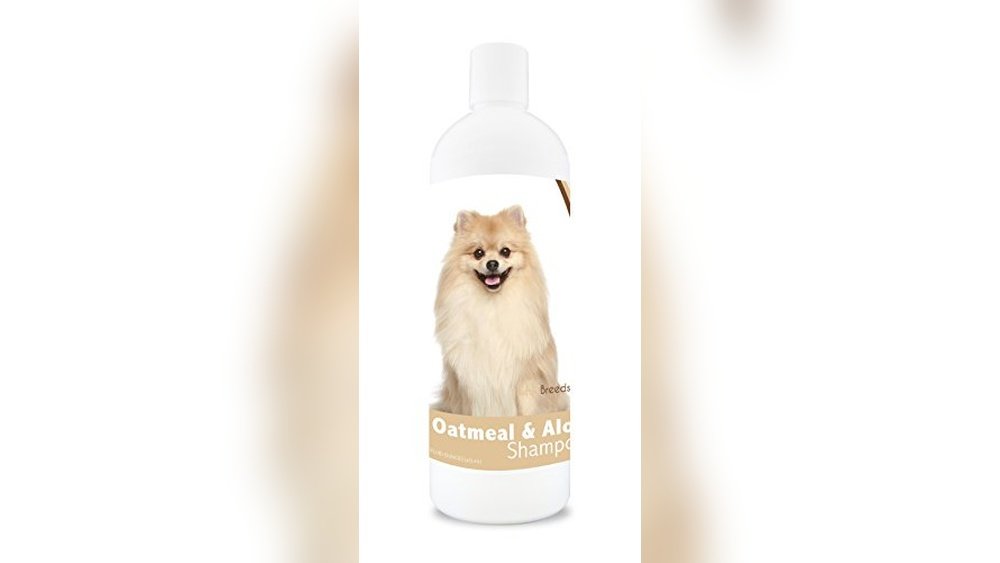 Best Dog Shampoo for Pomeranians