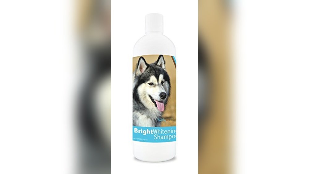 Best Dog Shampoo for Siberian Husky