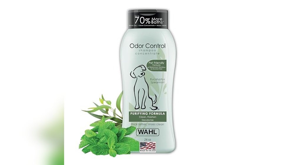 Best Dog Shampoo for Stinky Dogs