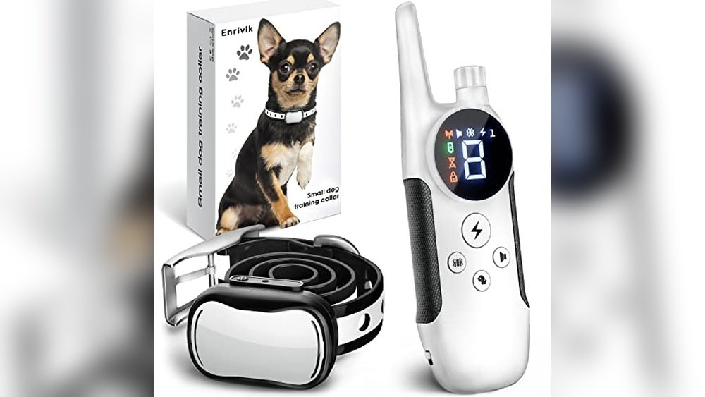 Best Dog Shock Collar for Small Dogs