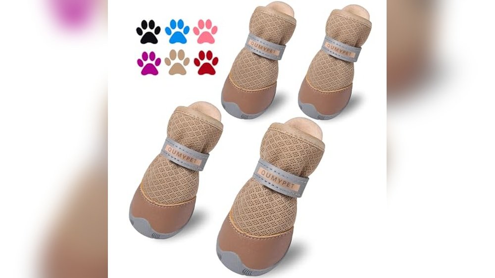 Best Dog Shoes for Dewclaws