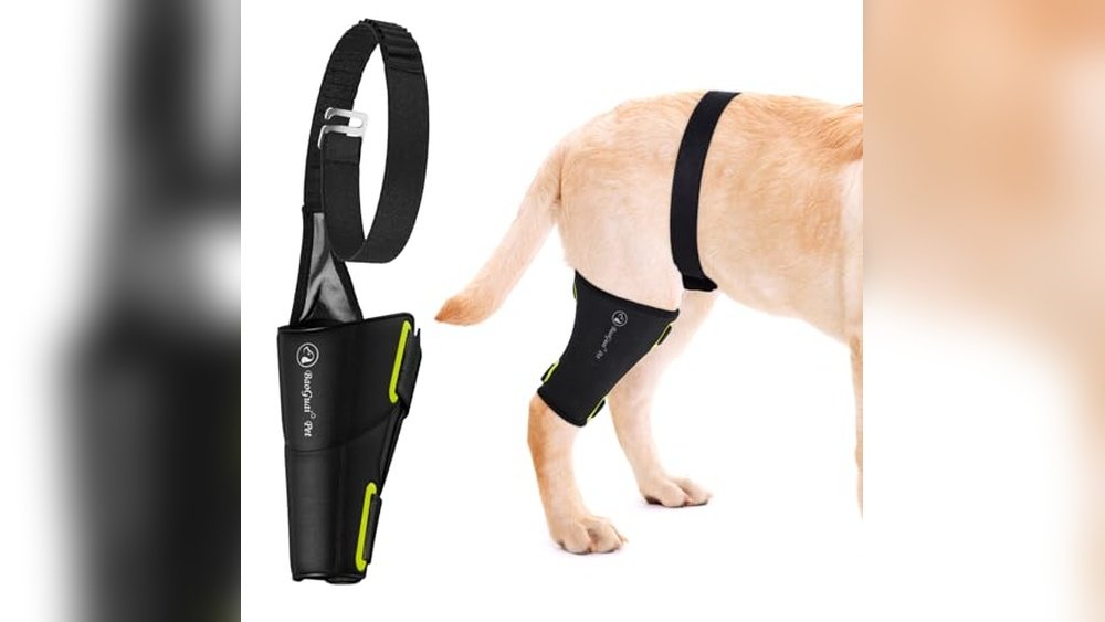 Best Dog Supplement for Luxating Patella