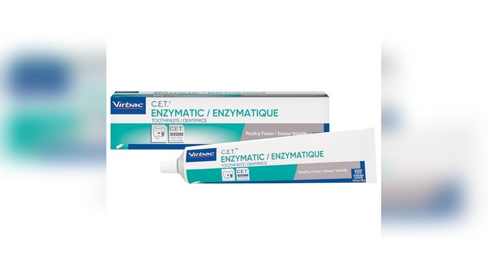 Best Dog Toothpaste for Bad Breath