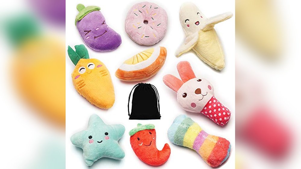 Best Dog Toys for Chihuahuas