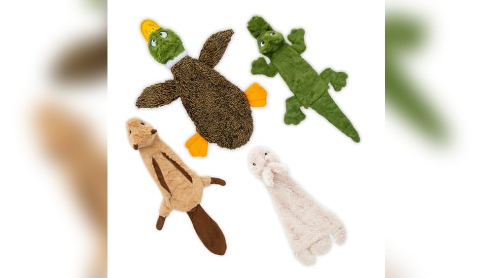 Best Dog Toys for Dachshunds