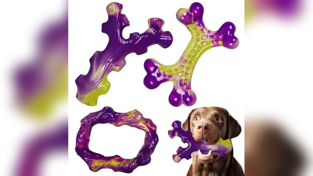 Best Dog Toys for Tough Chewers