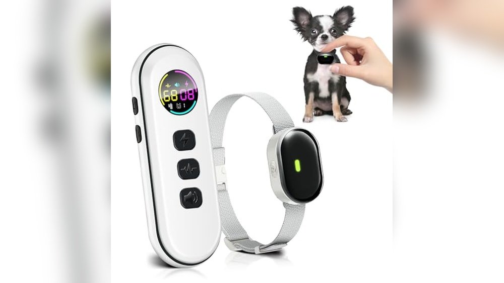 Best Dog Training Collar for Small Dogs