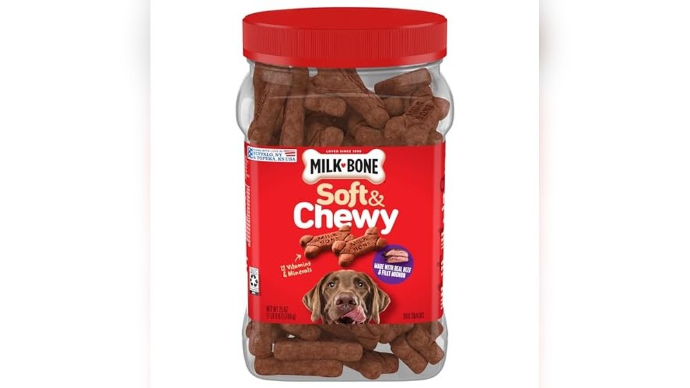 Best Dog Treats for Older Dogs