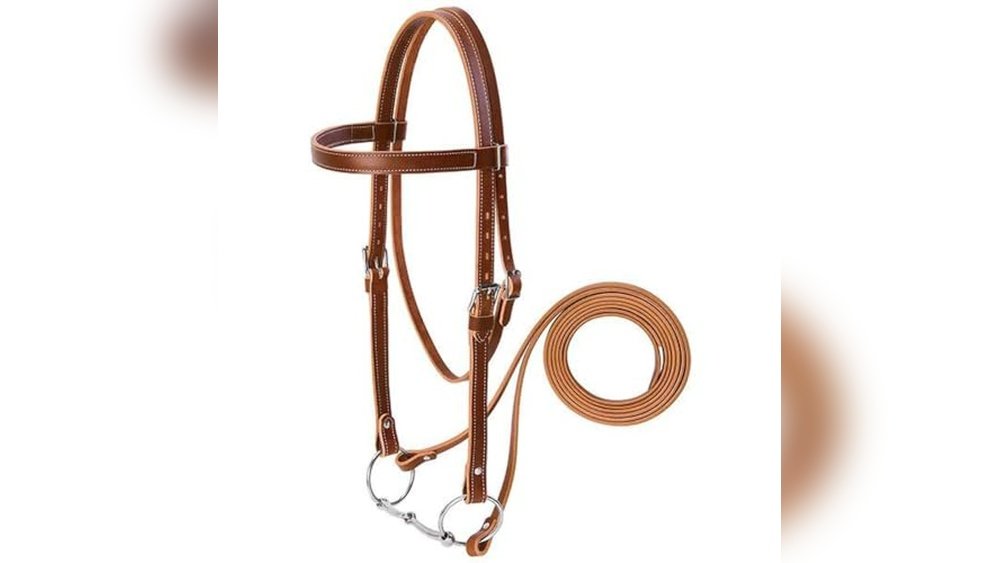 Best Draft Horse for Riding