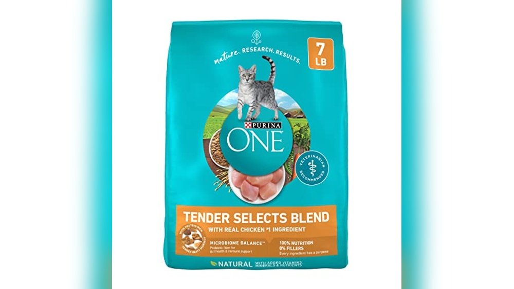 Best Dry Cat Food for Cats With No Teeth