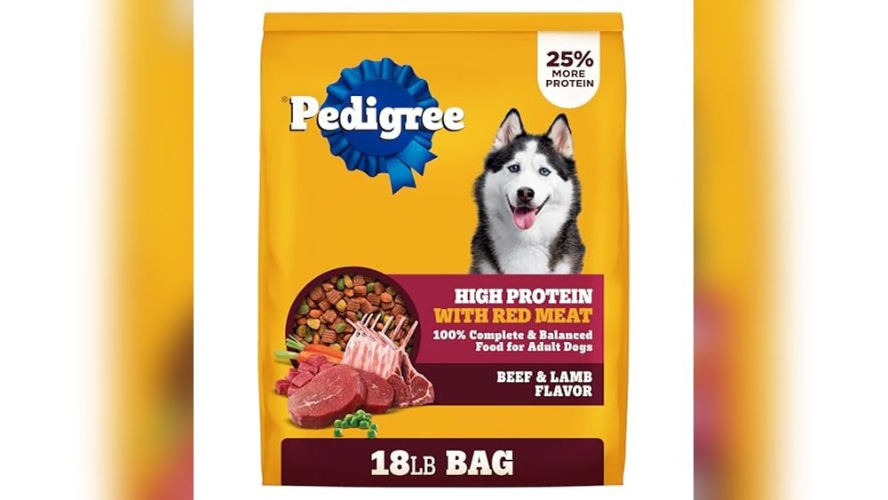 Best Dry Dog Food for a Husky