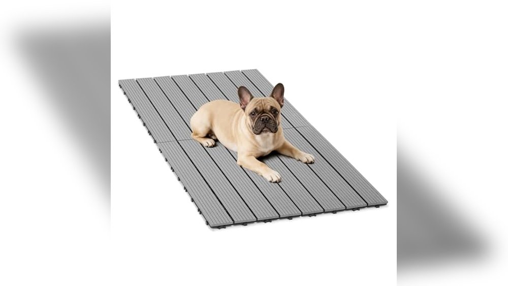 Best Flooring for Dog Kennel
