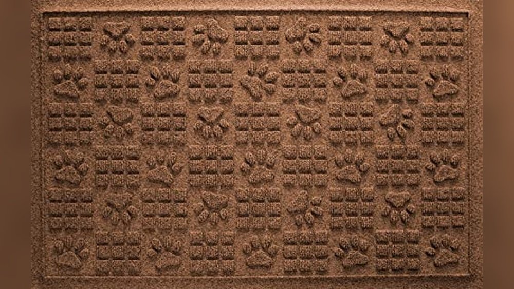 Best Flooring for Dog Urine