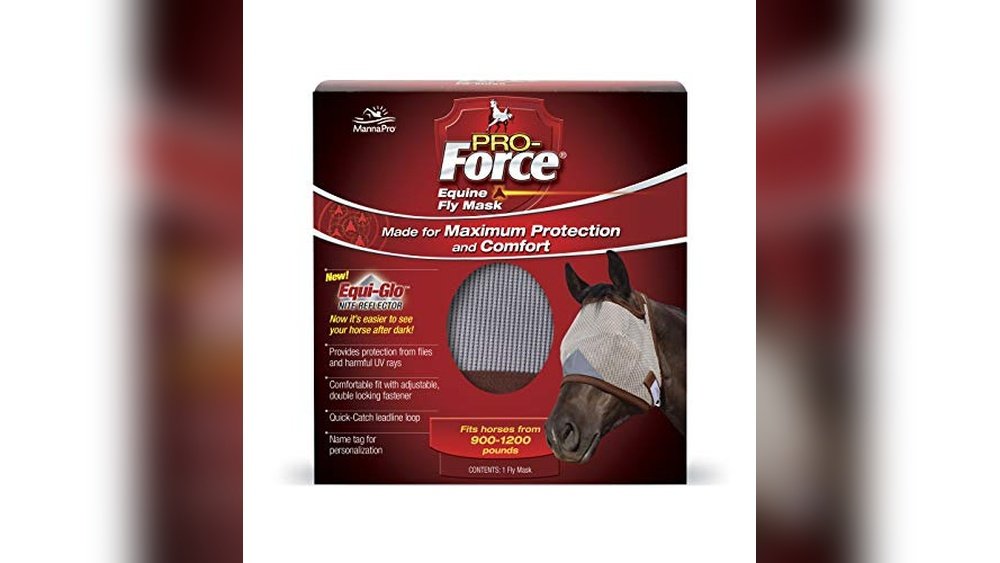 Best Fly Masks for Horses