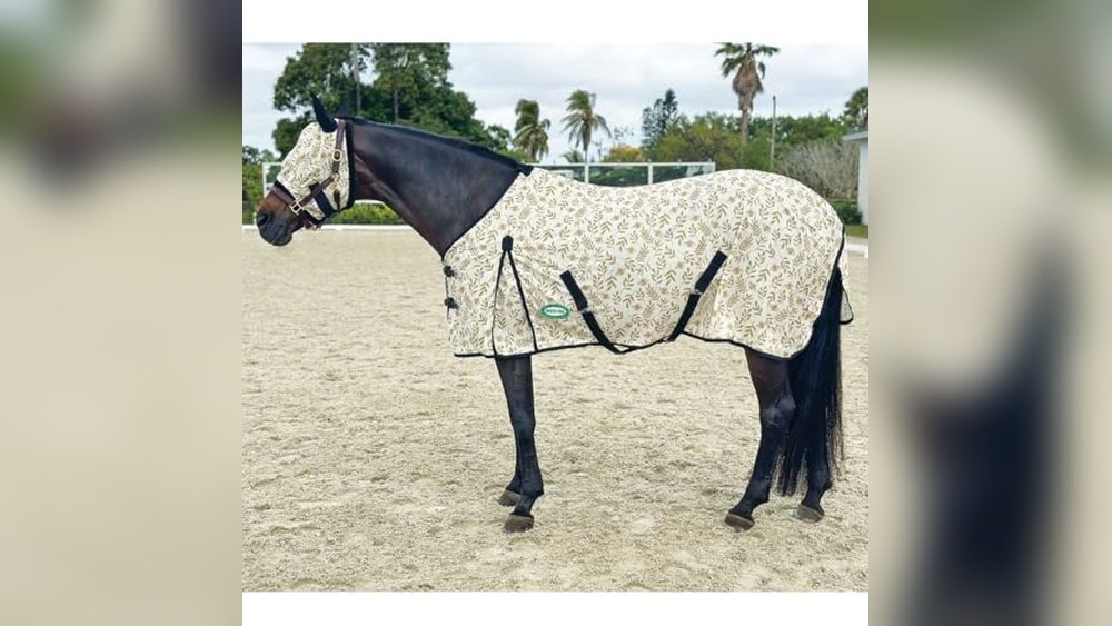Best Fly Sheets for Horses