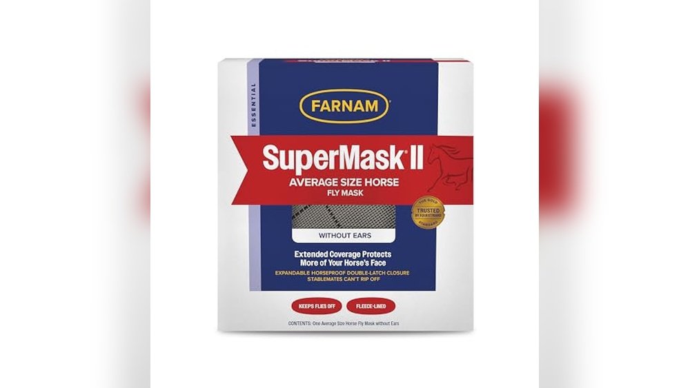 Best Fly Trap for Horse Barn