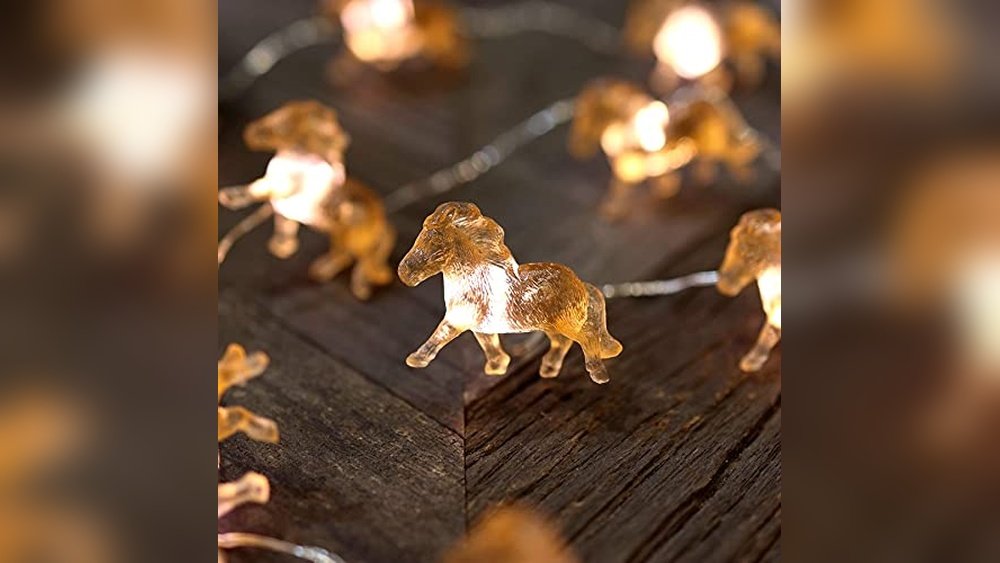 Best Gift for Horse Lovers