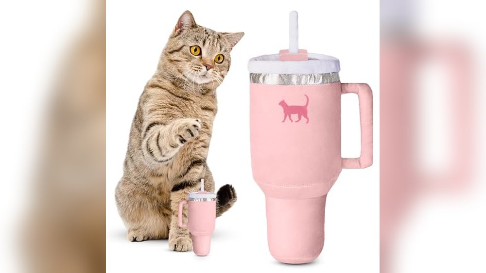 Best Gifts for Cat Moms
