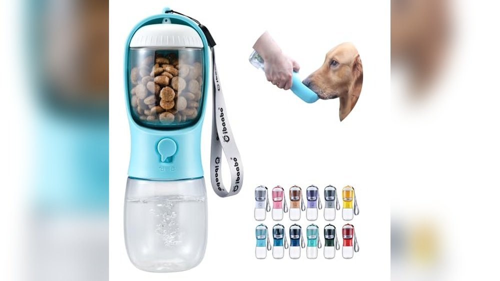 Best Gifts for Dog Lovers