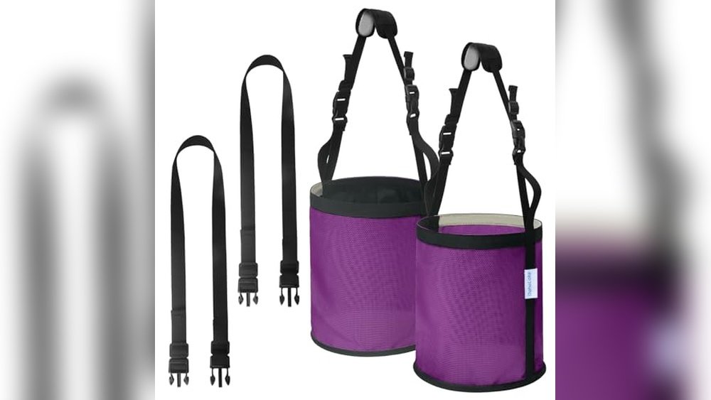 Best Grain for Miniature Horses