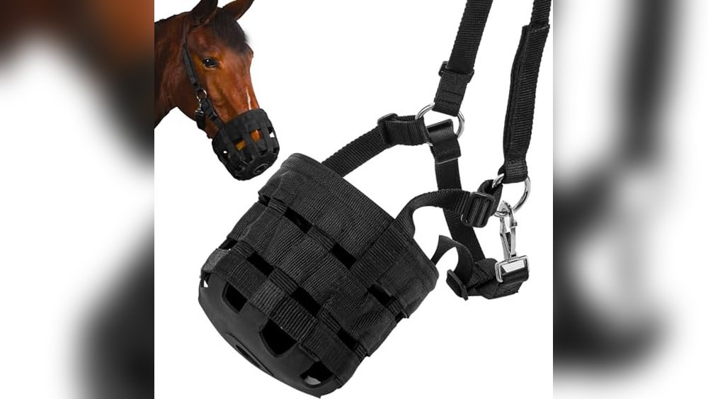 Best Grazing Muzzle for Horse