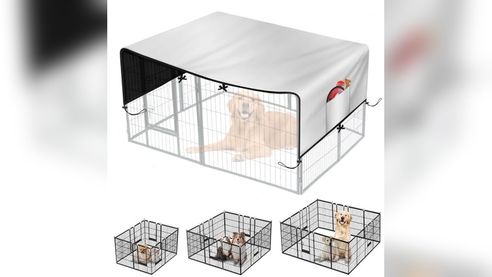 Best Ground Cover for Dog Run