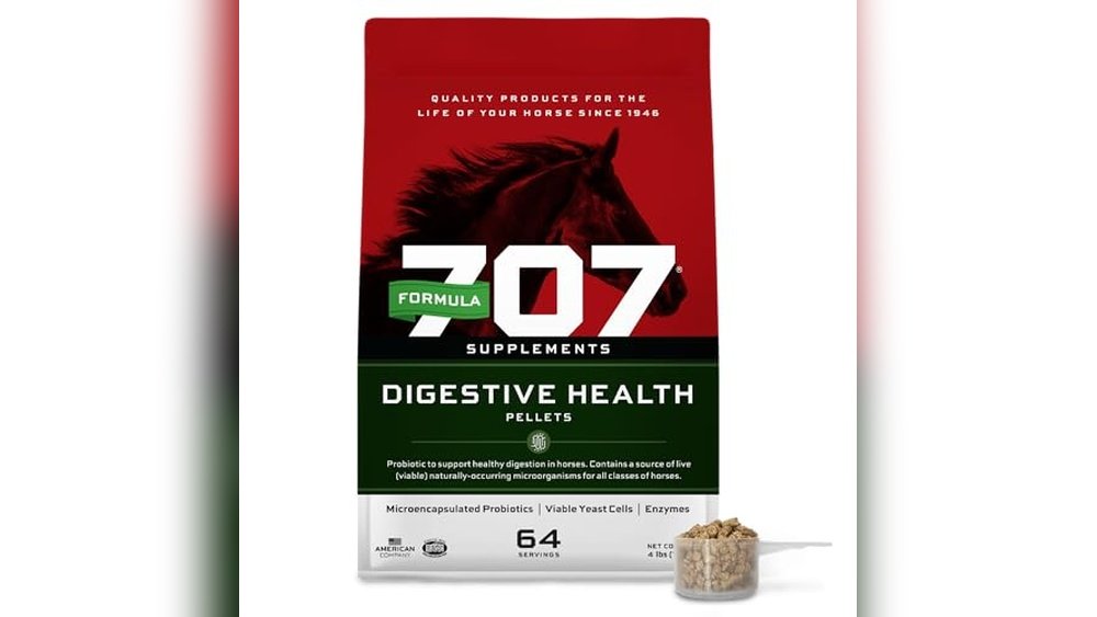Best Gut Supplement for Horses