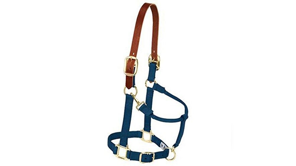 Best Halters for Horses
